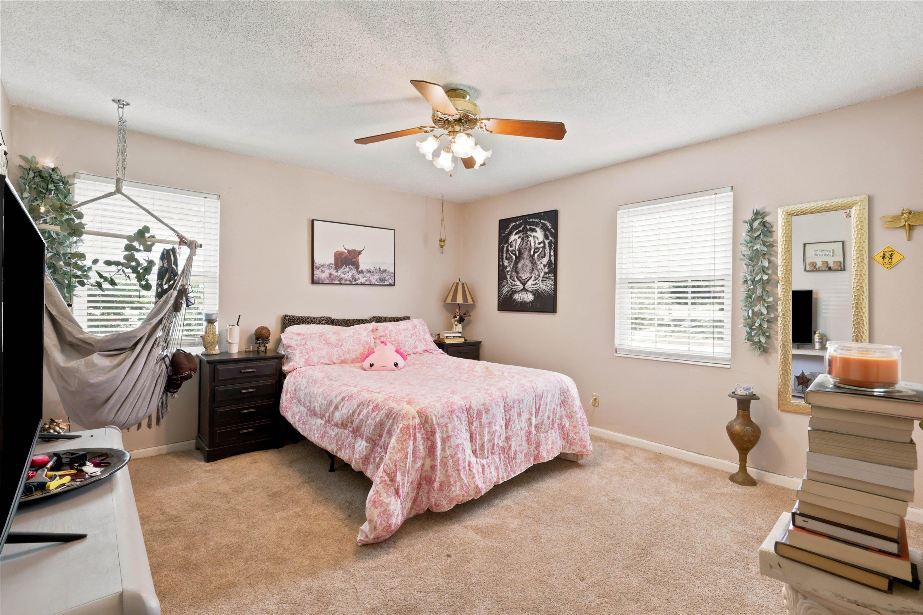 3056 Corrib Drive