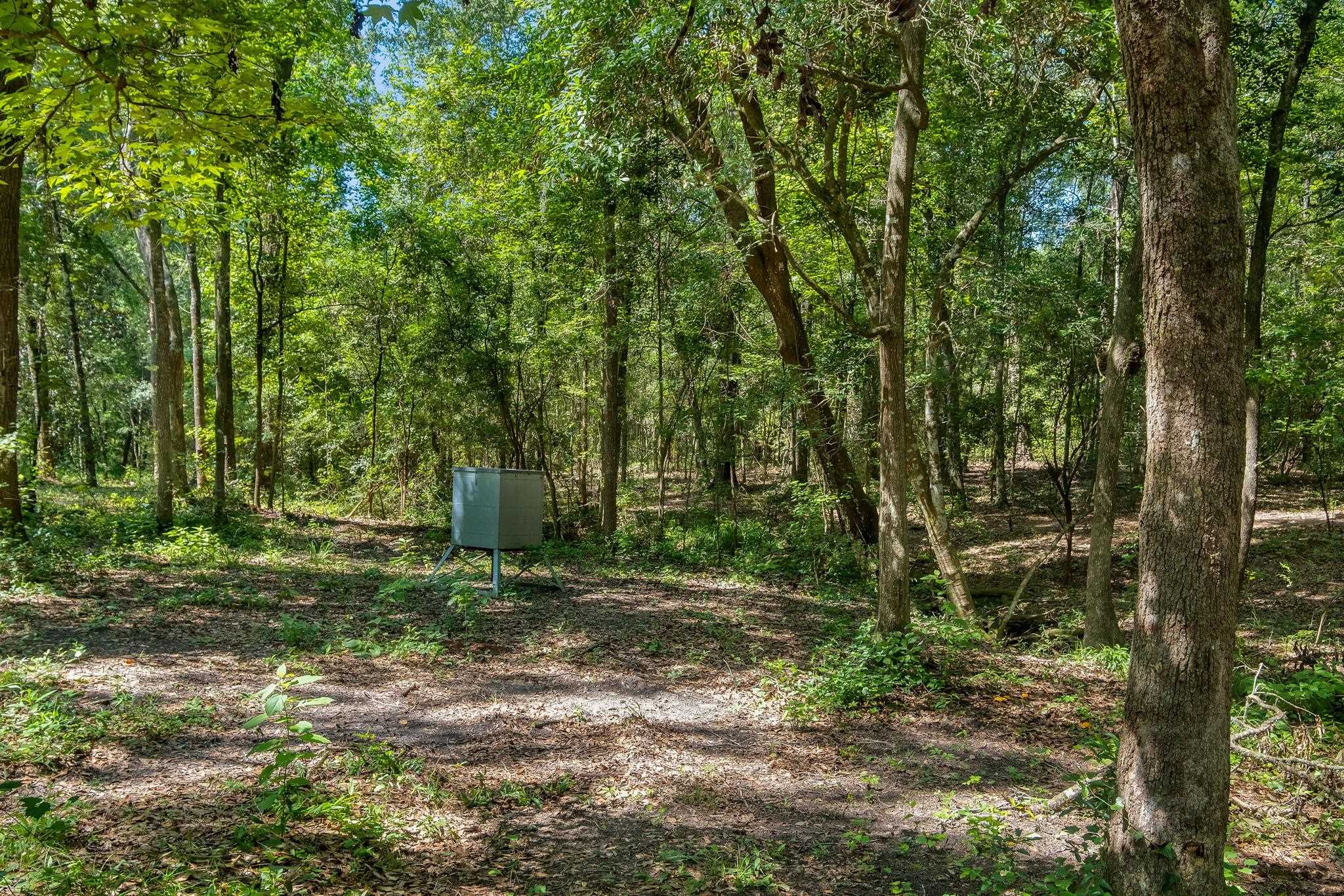 7005 Pisgah Church Road