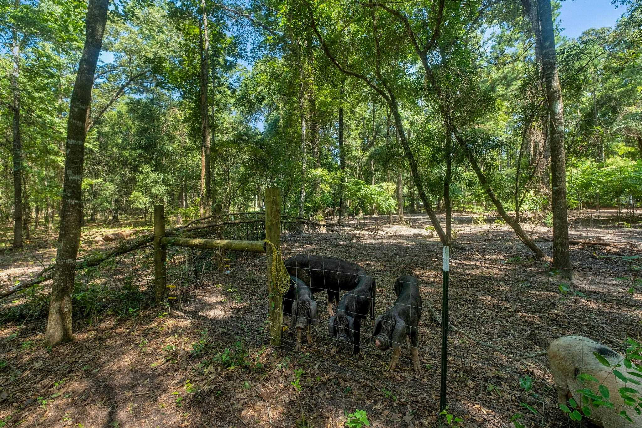 7005 Pisgah Church Road