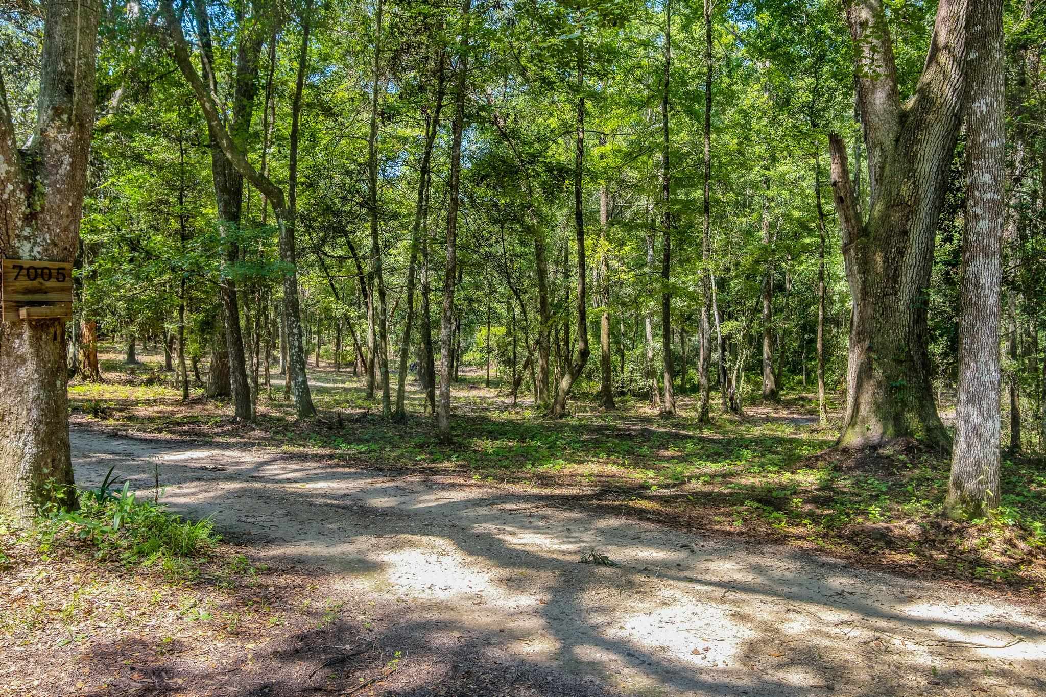 7005 Pisgah Church Road