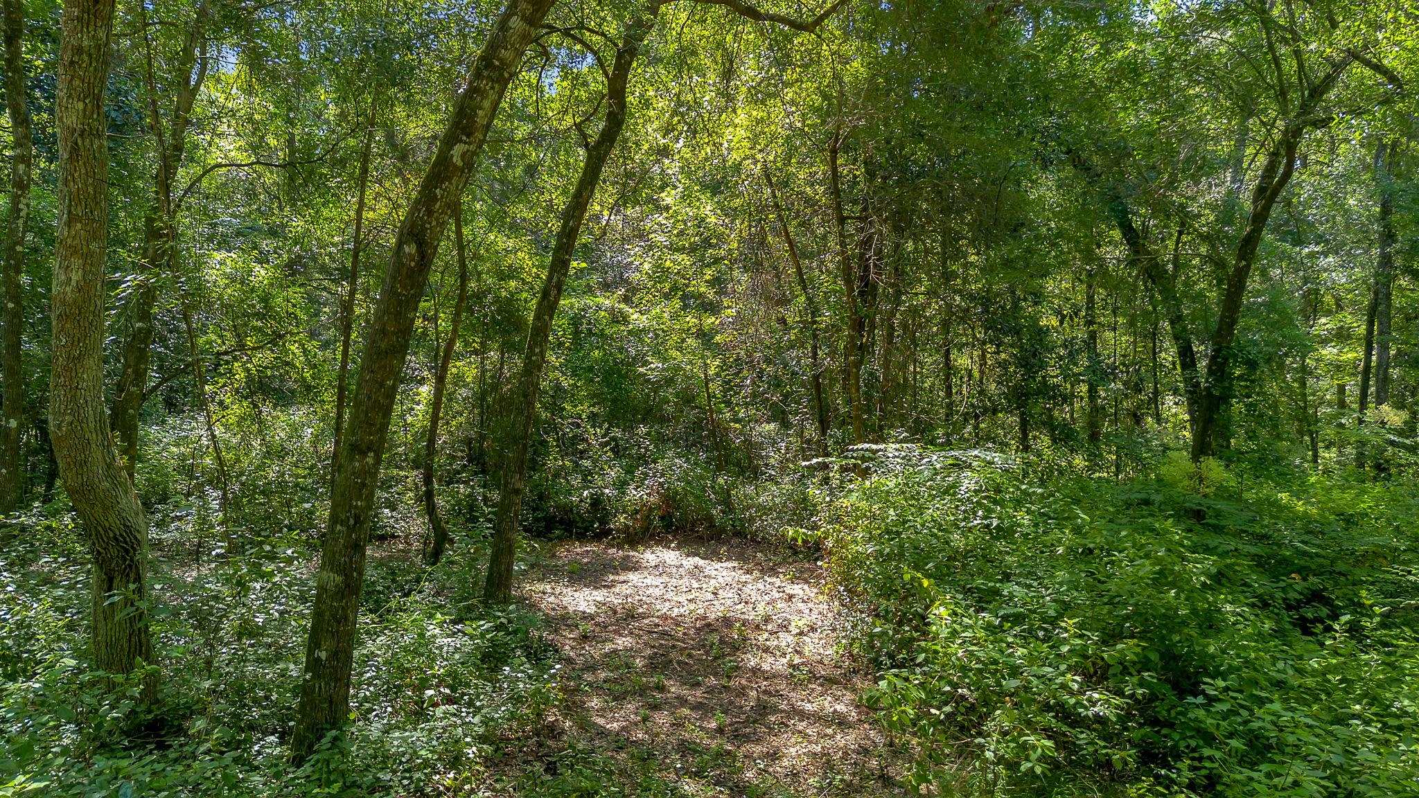 7005 Pisgah Church Road