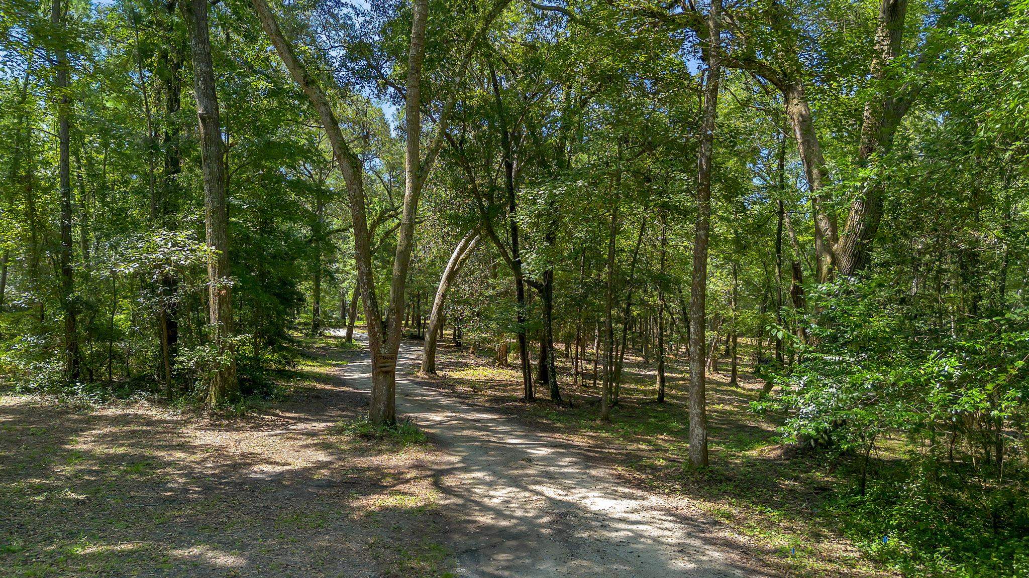 7005 Pisgah Church Road