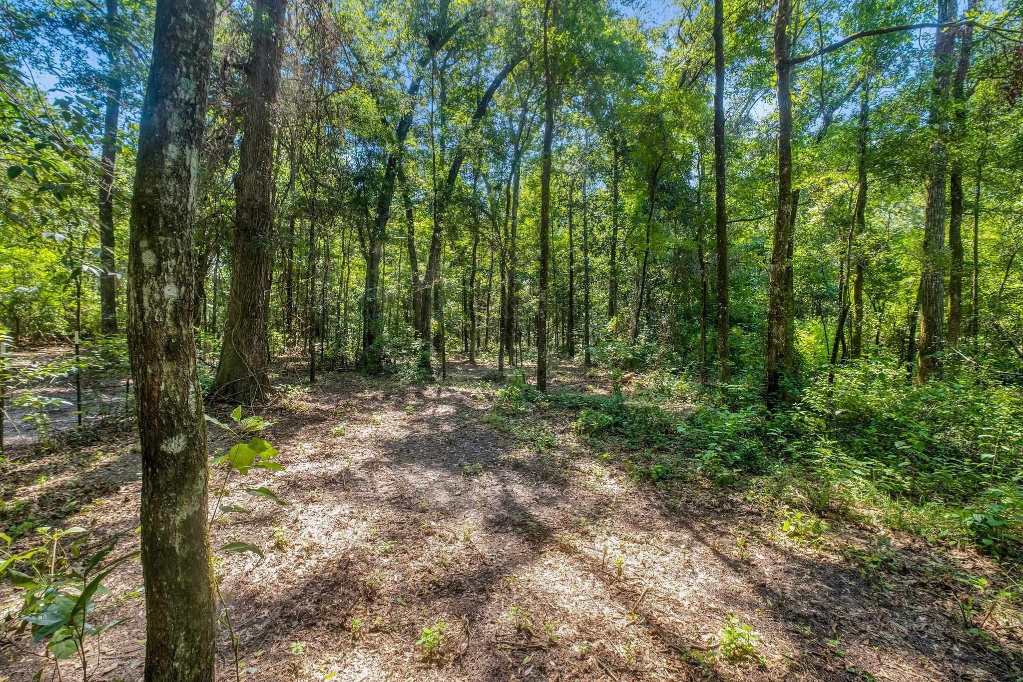 7005 Pisgah Church Road