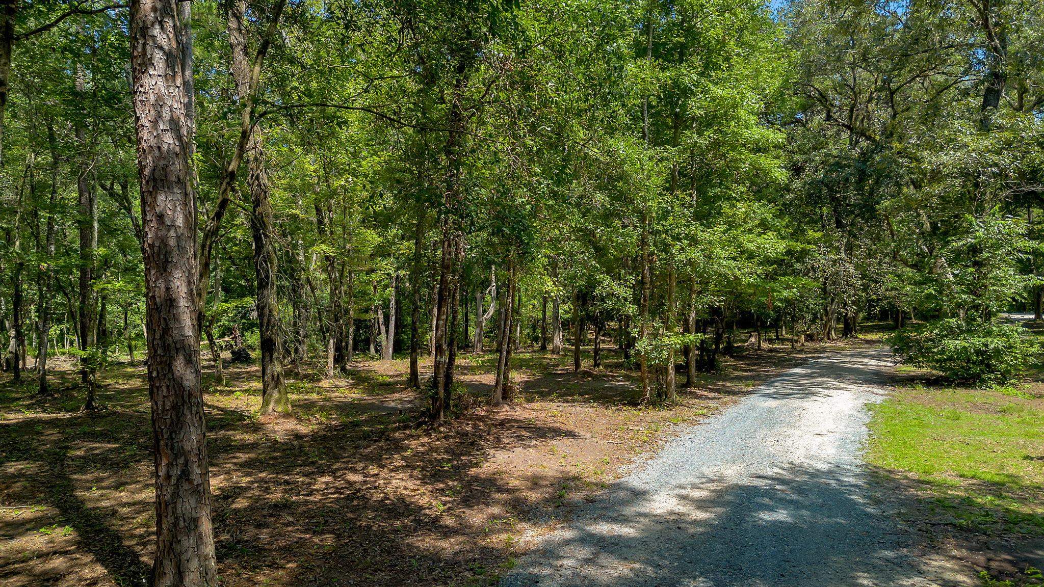 7005 Pisgah Church Road