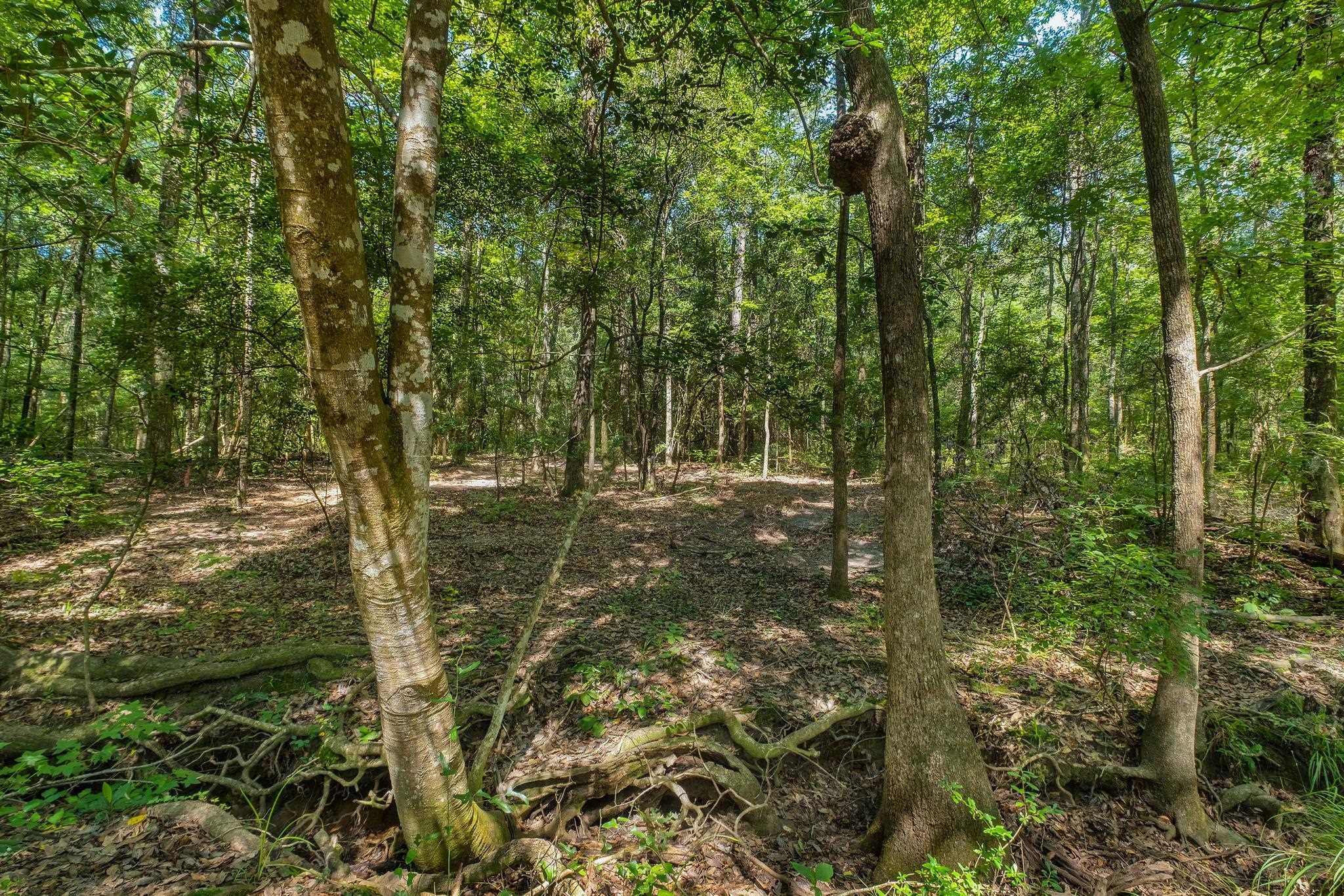 7005 Pisgah Church Road