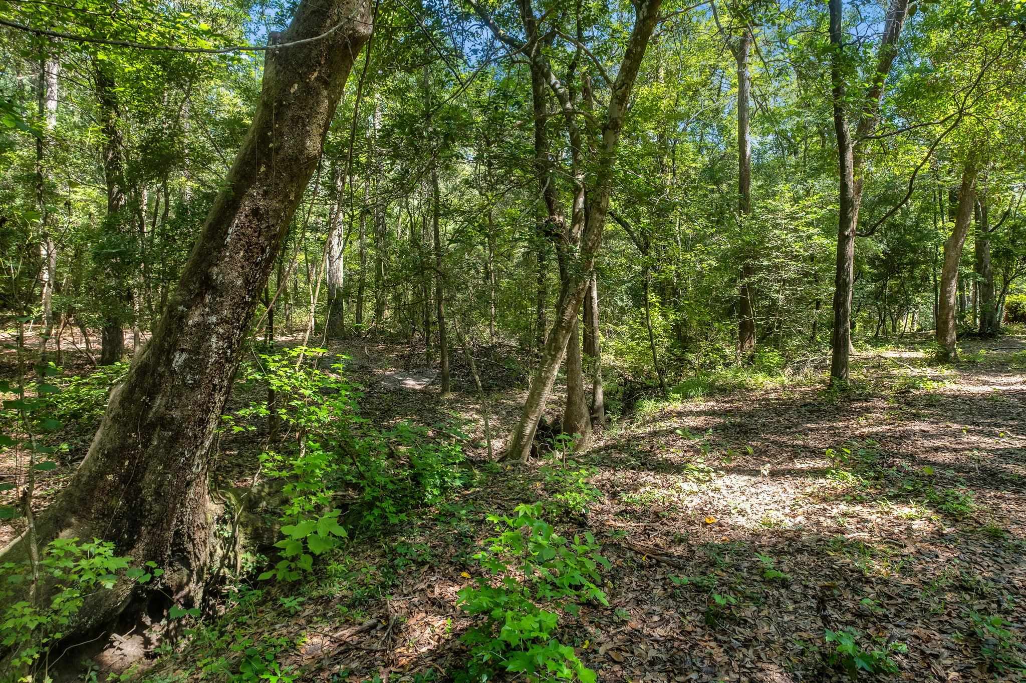 7005 Pisgah Church Road