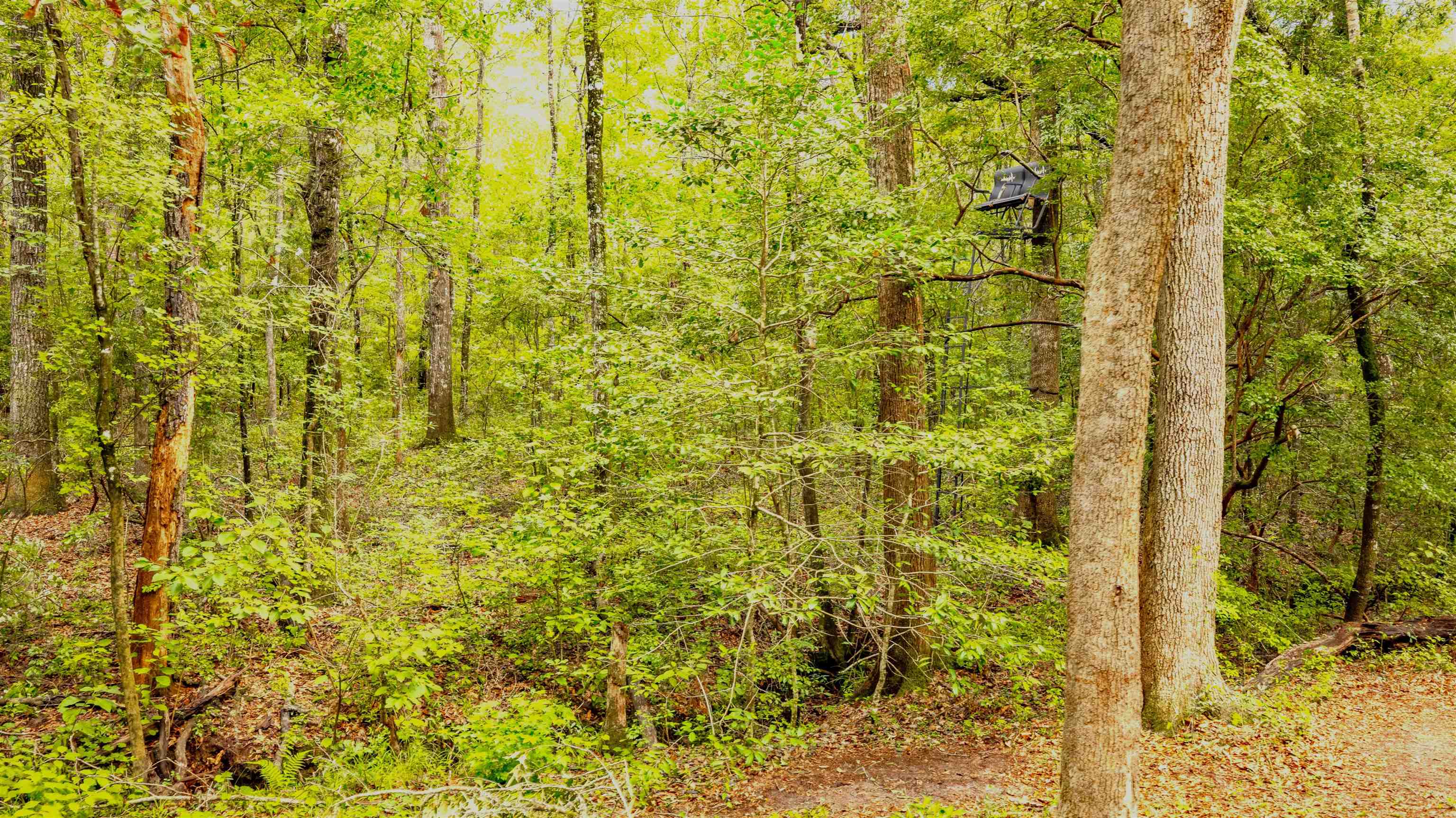 0 Pisgah Church Road