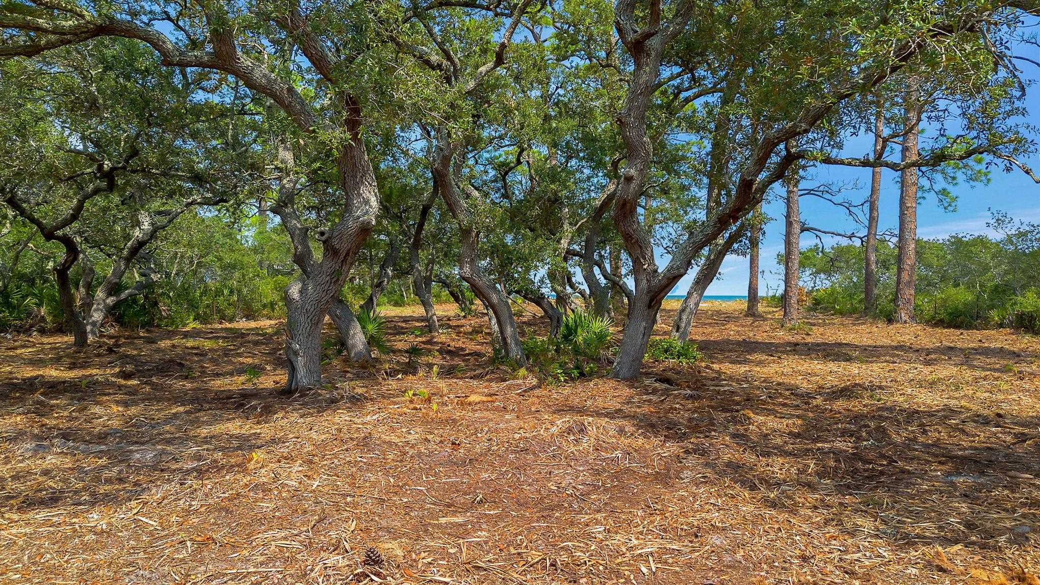 416 Bald Point Road