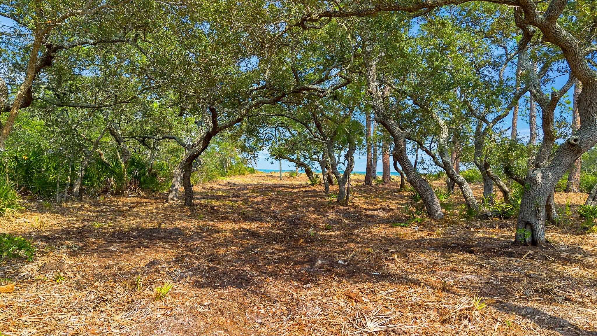 416 Bald Point Road