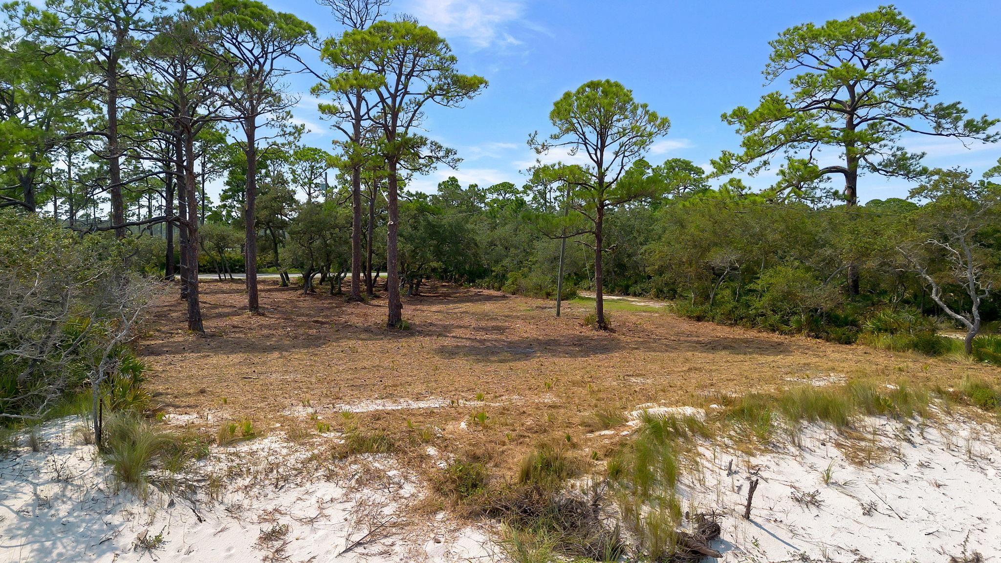 416 Bald Point Road