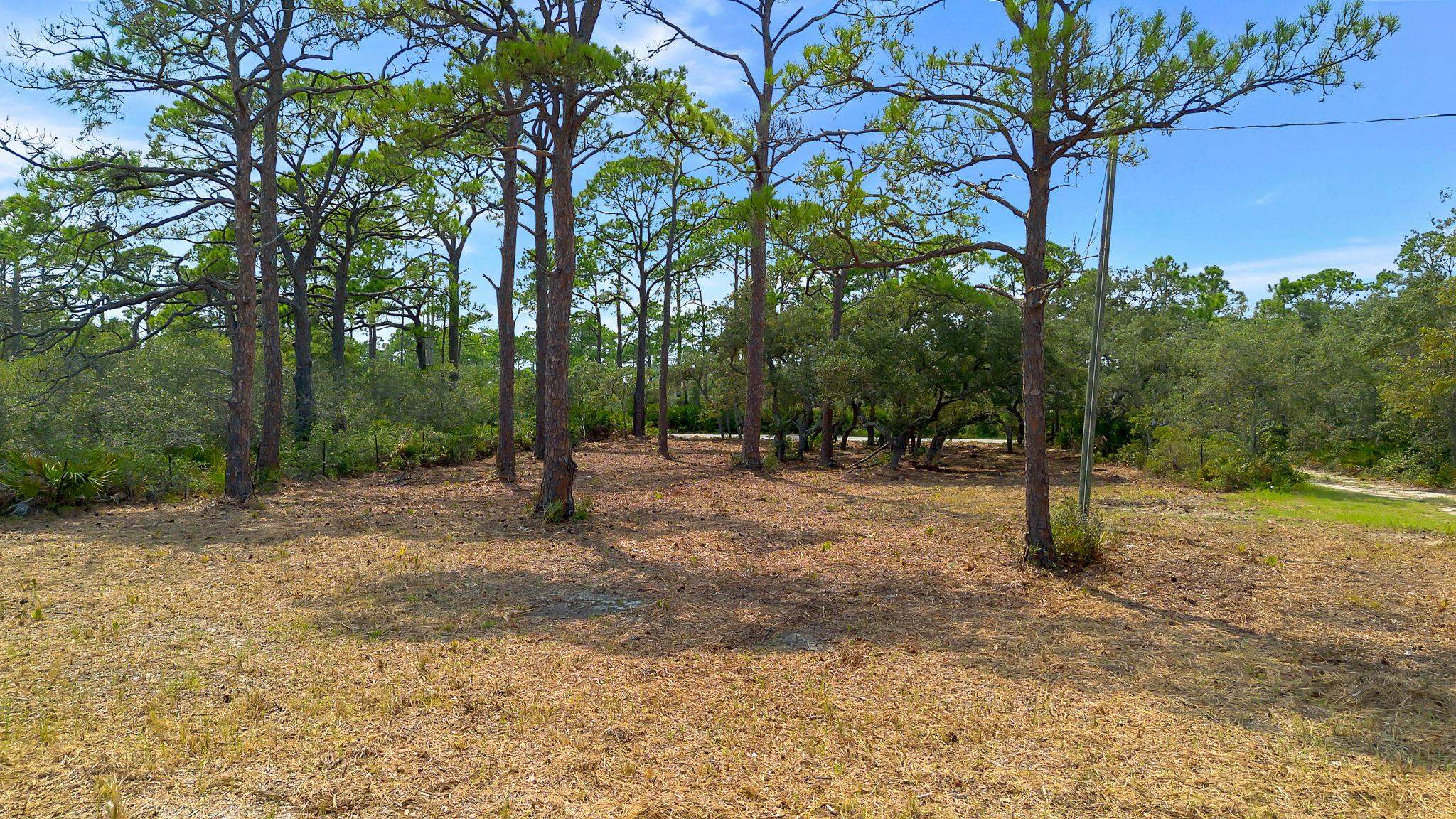 416 Bald Point Road