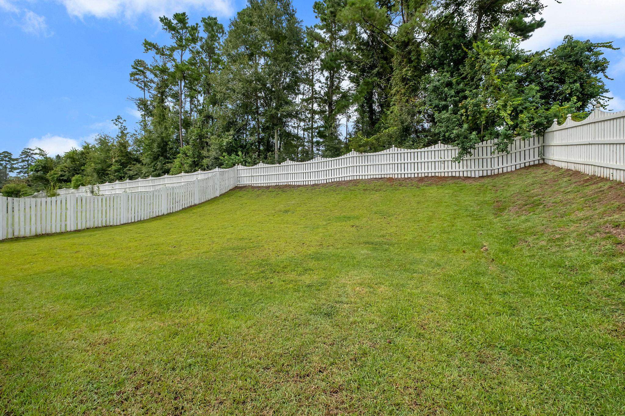 2564 Mount Vernon Lane