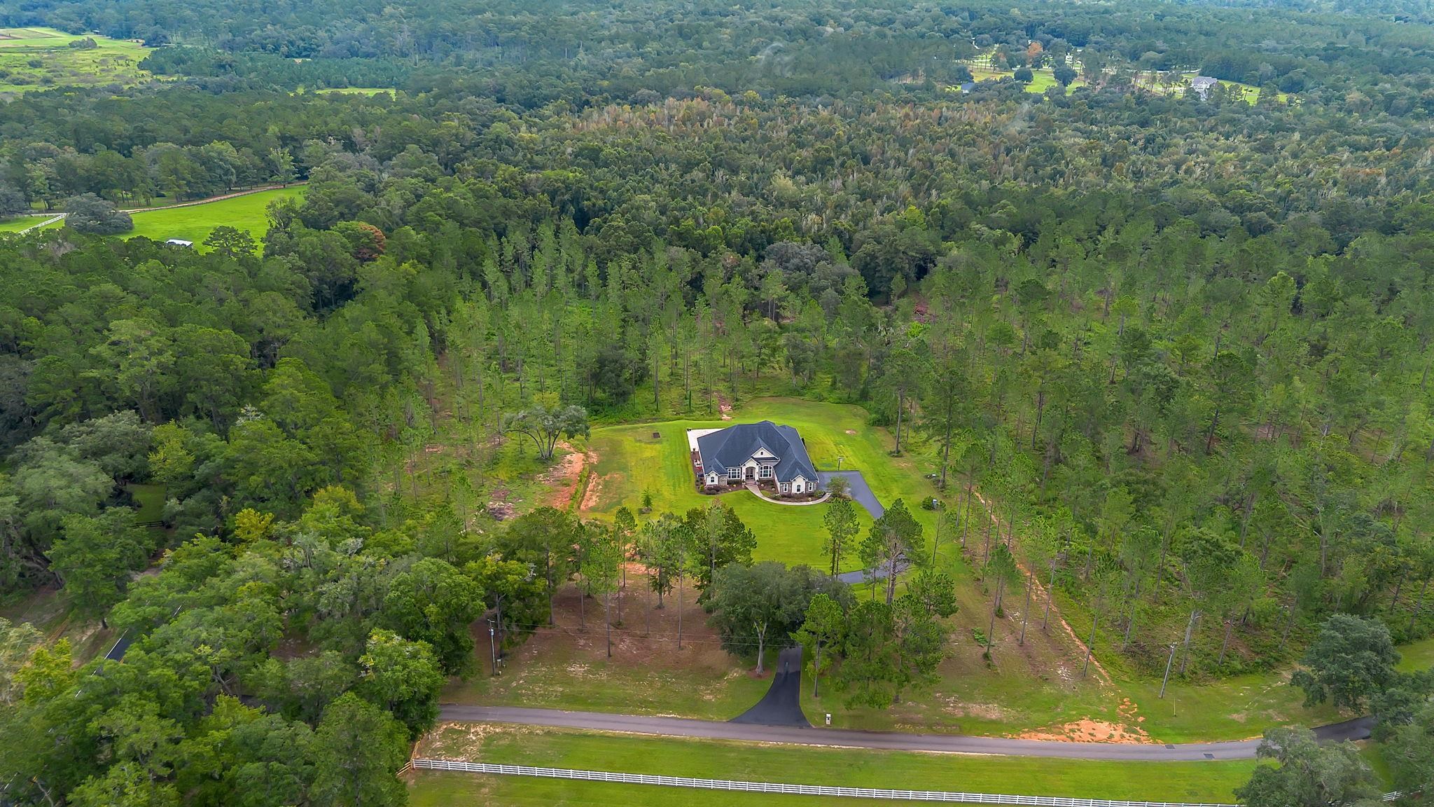 9293 White Blossom Way