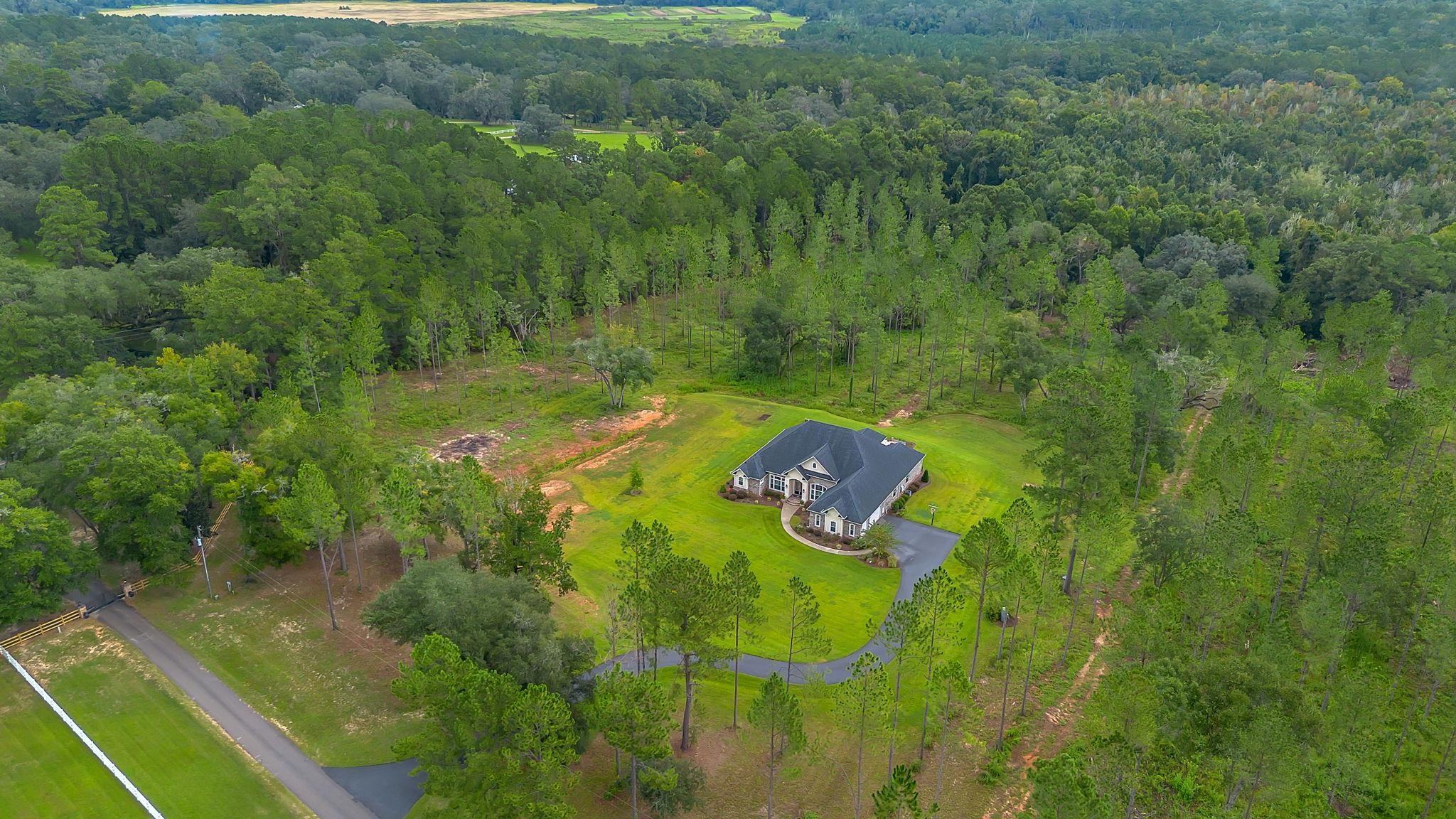 9293 White Blossom Way
