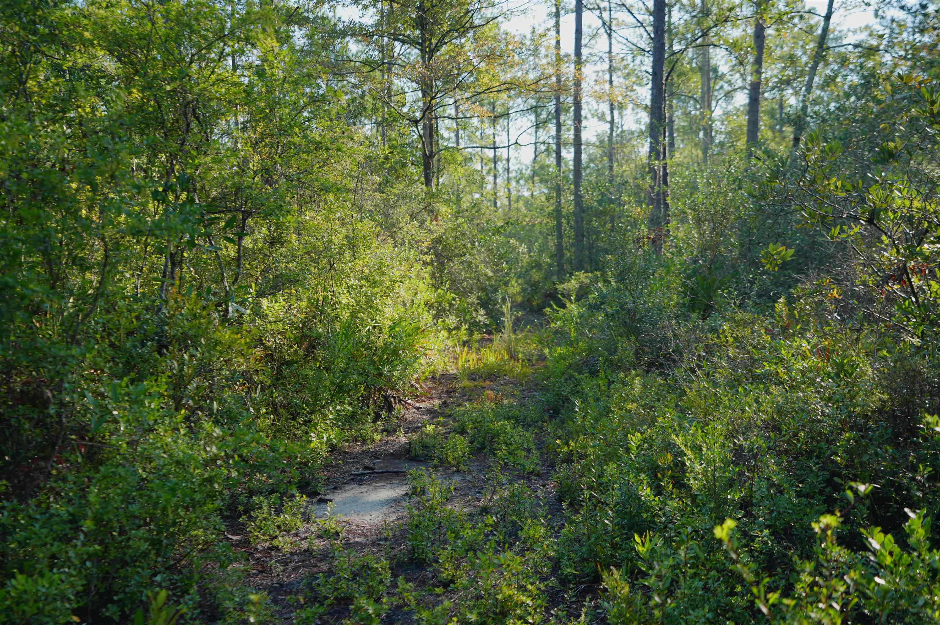 0 Blountstown Highway
