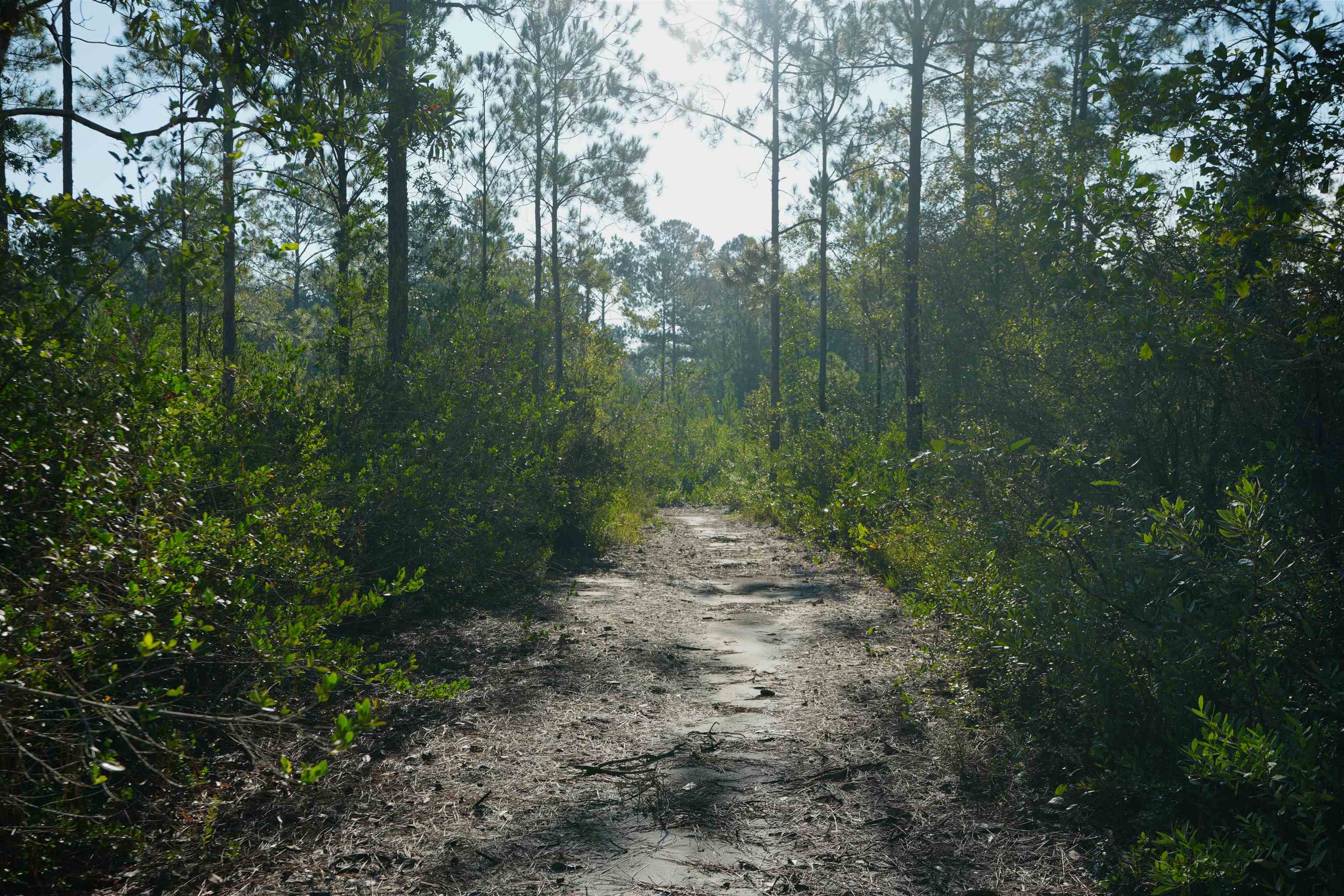 0 Blountstown Highway