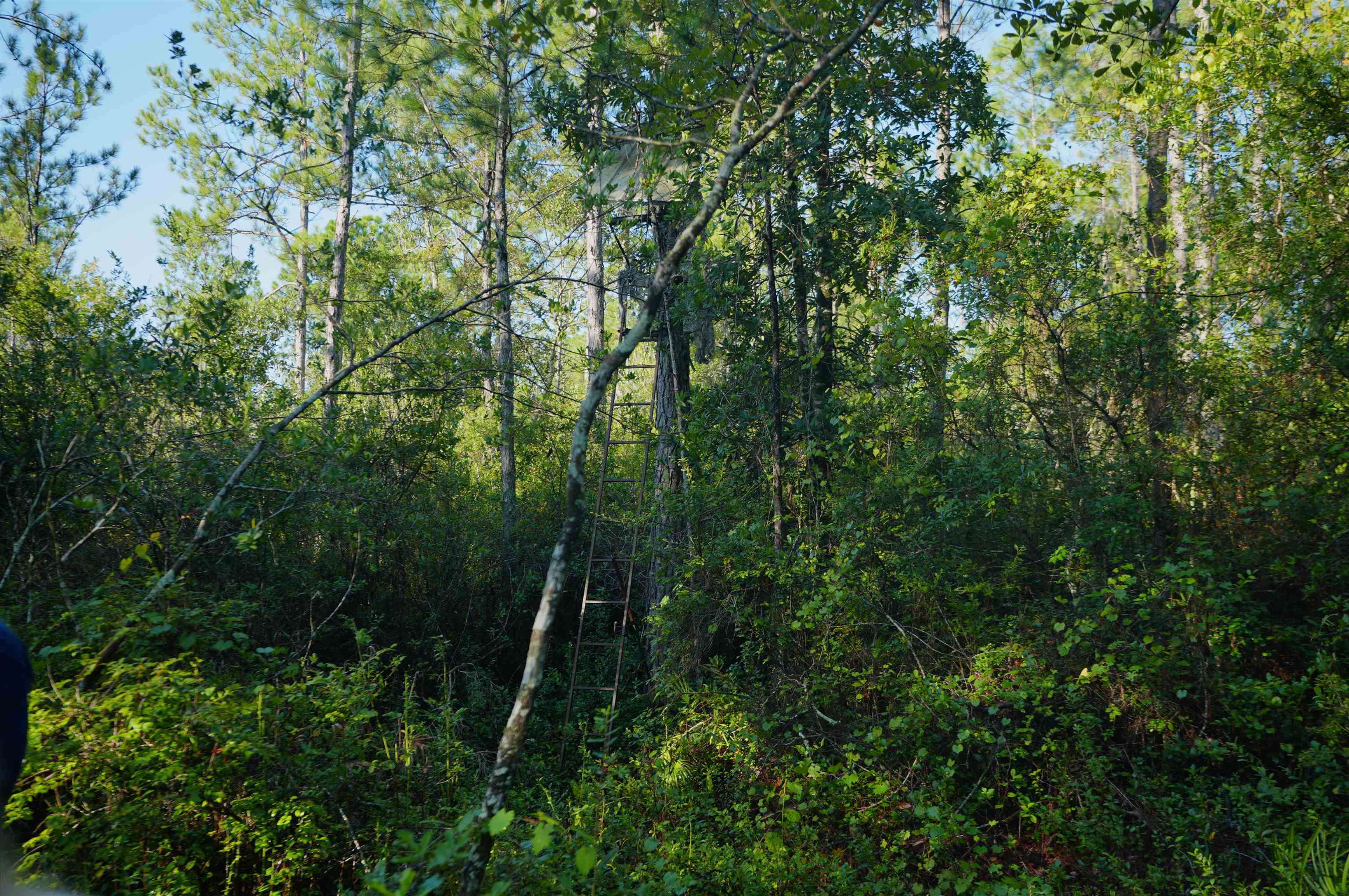 0 Blountstown Highway