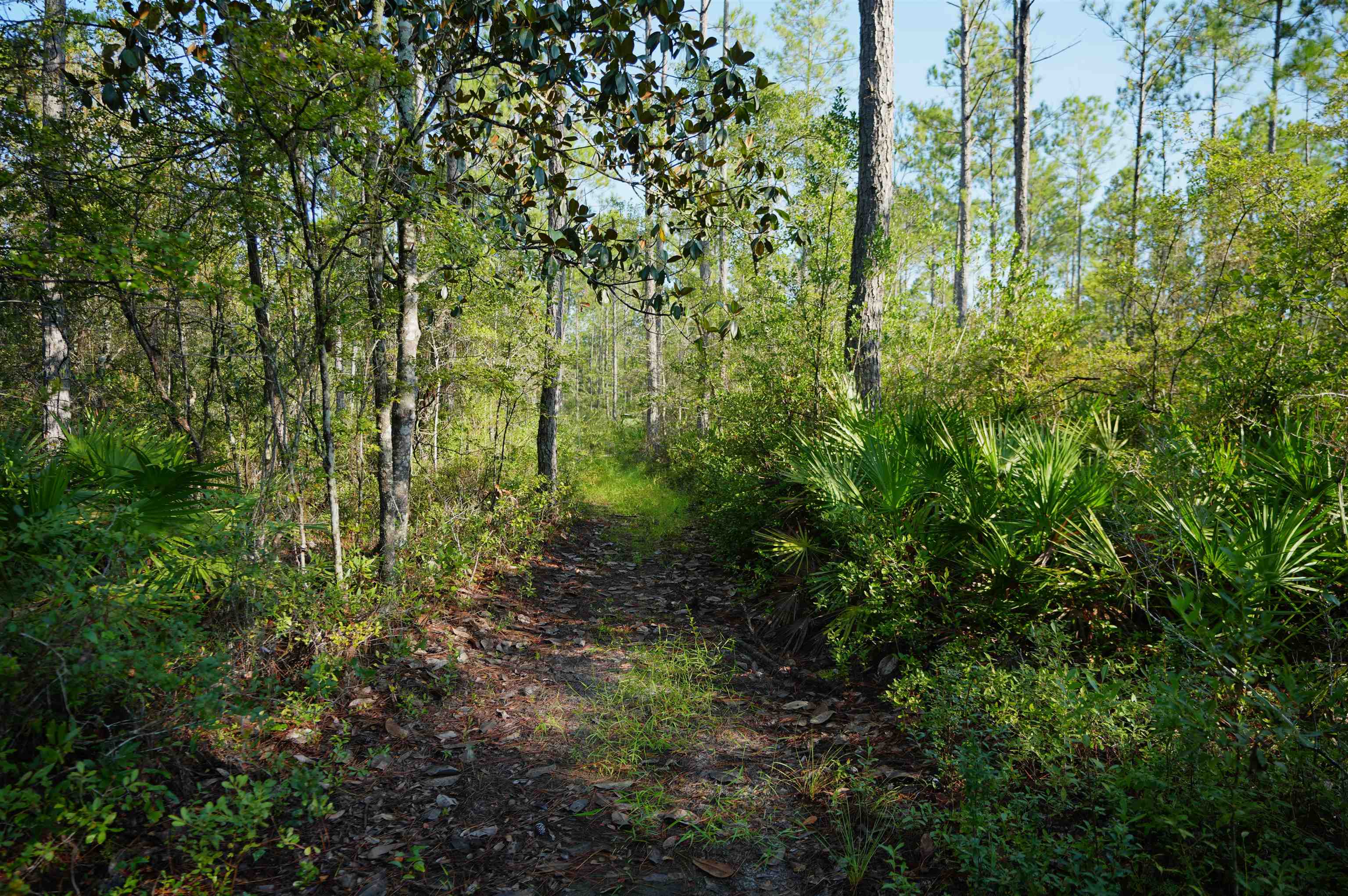 0 Blountstown Highway