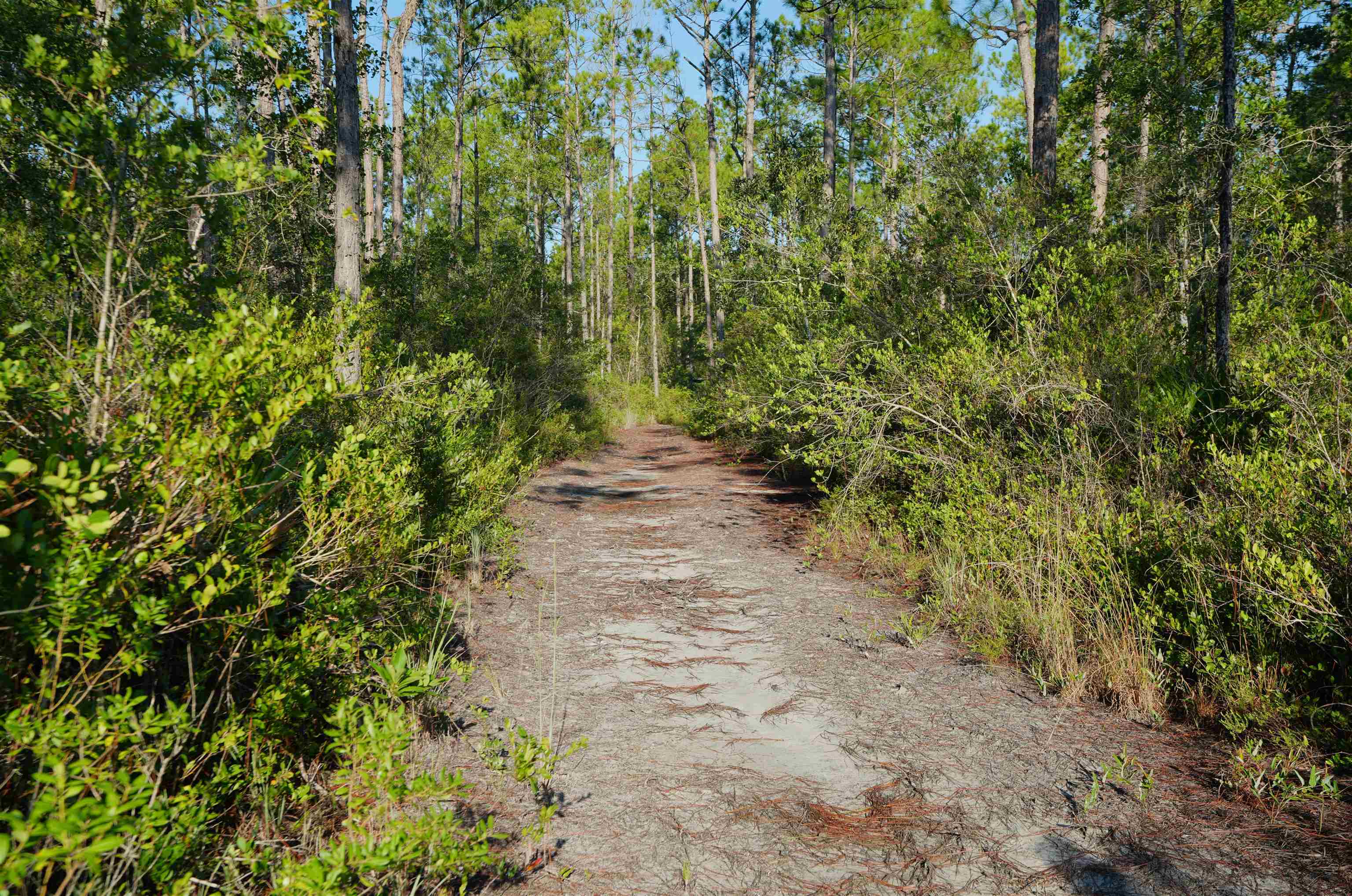 0 Blountstown Highway