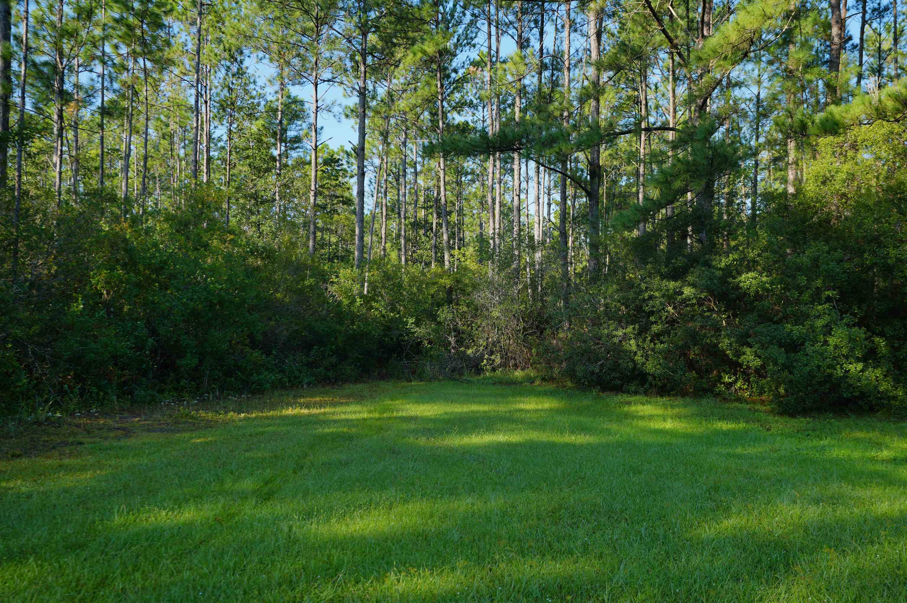 01 Blountstown Highway