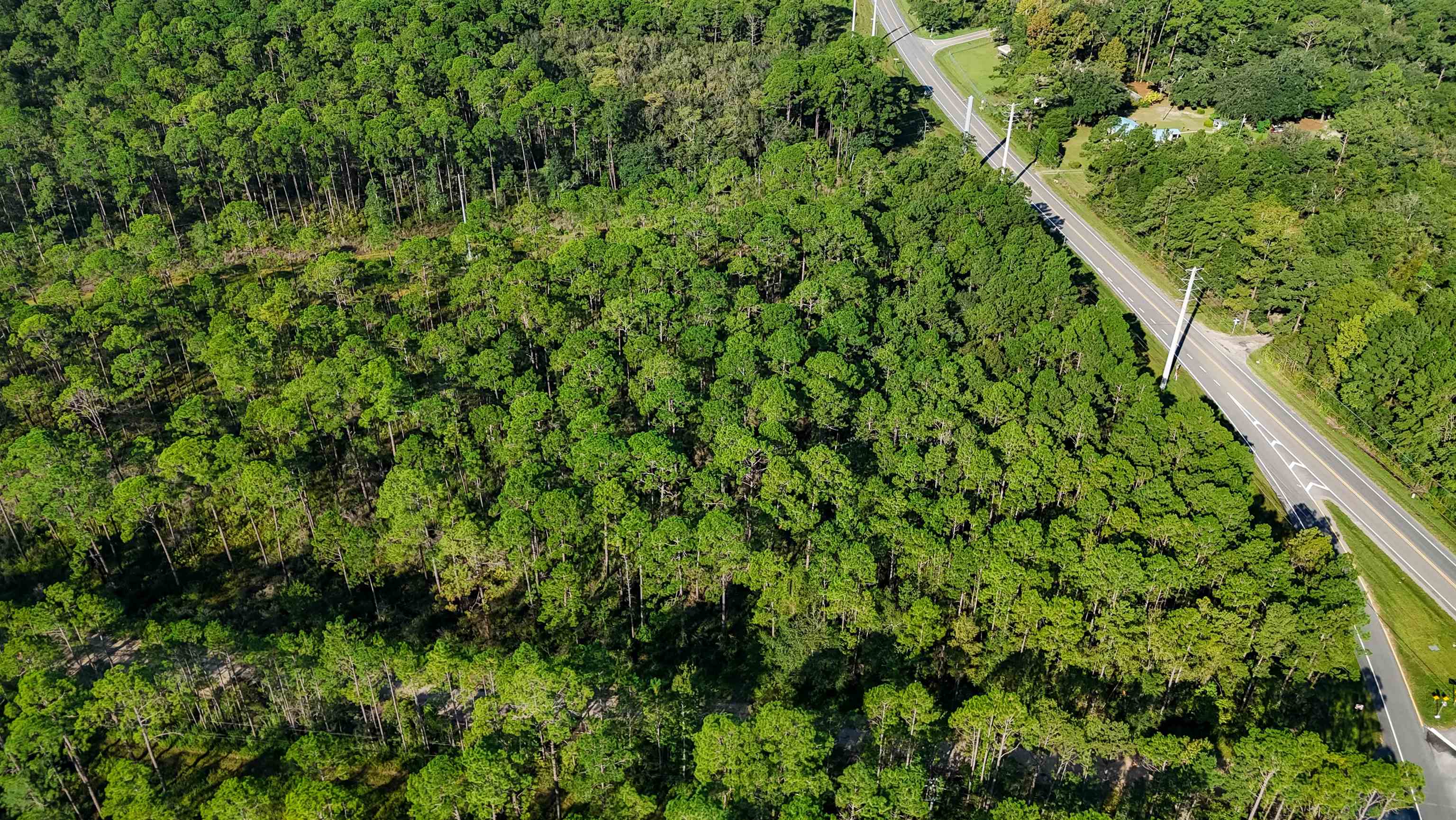 02 Blountstown Highway