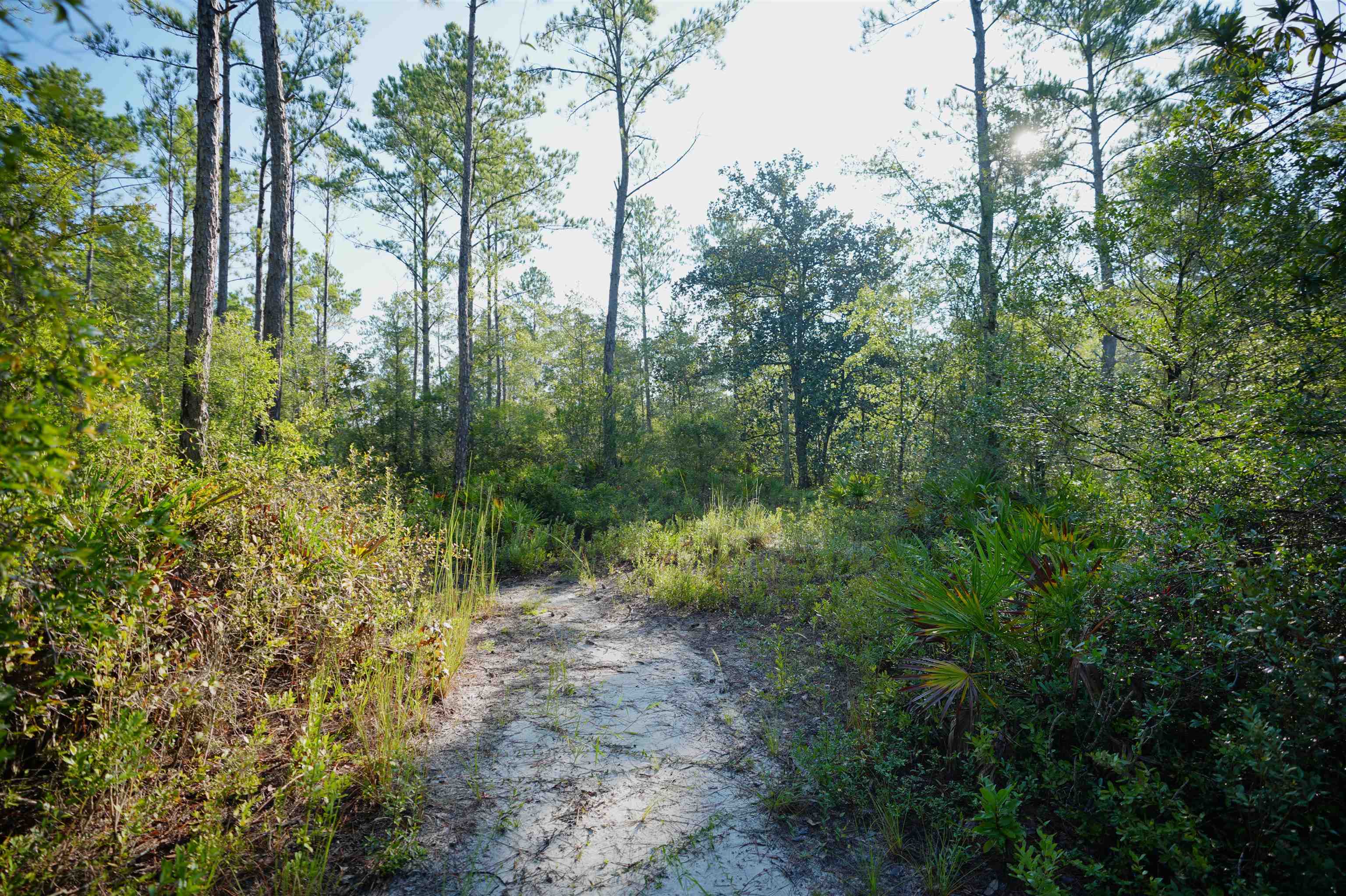 02 Blountstown Highway