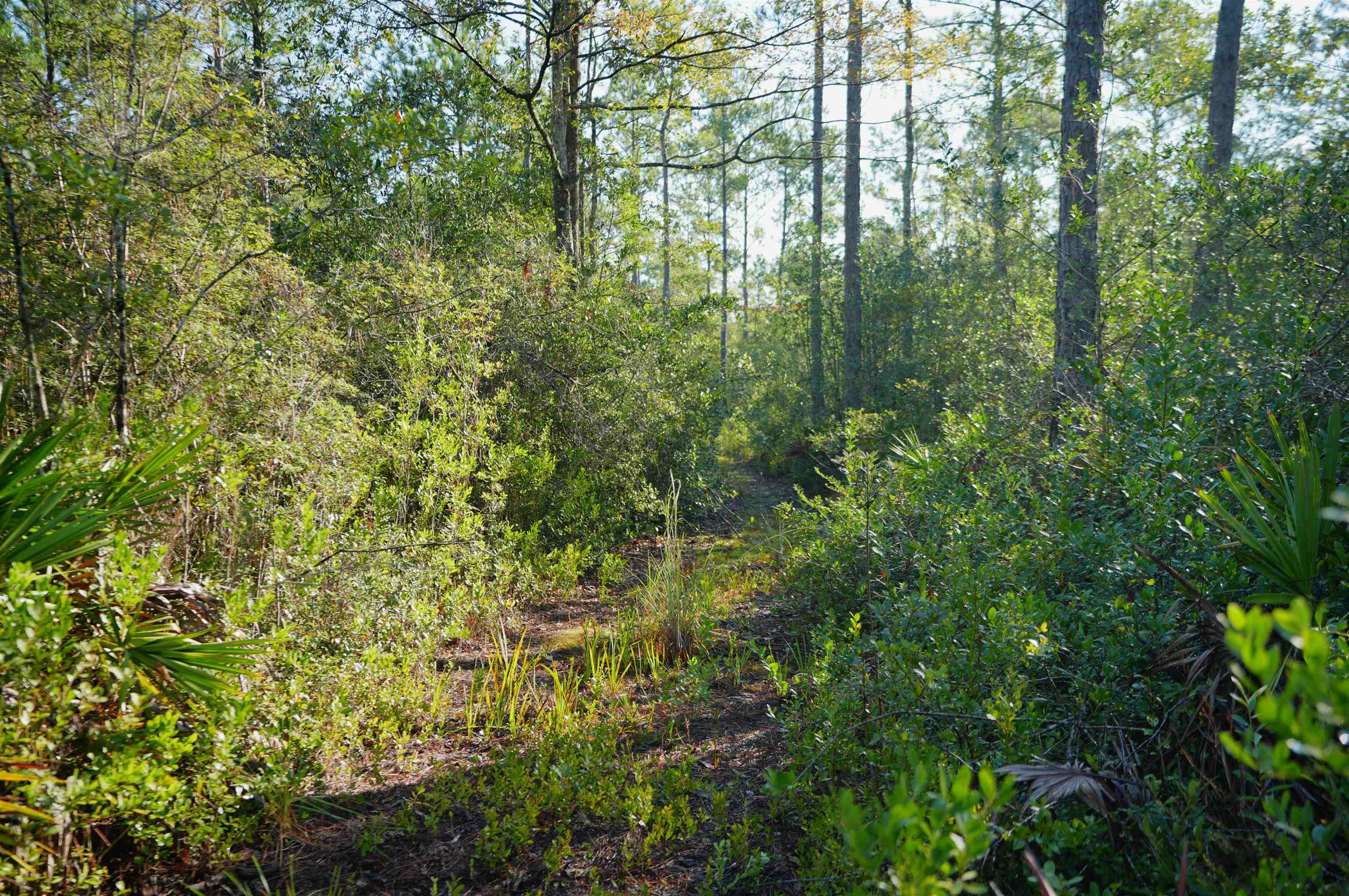 02 Blountstown Highway