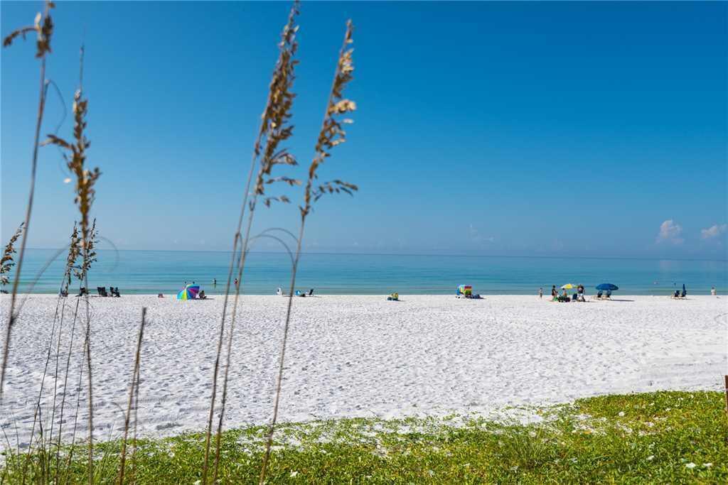 White-sand beach and calm turquoise water framed by beach grass.