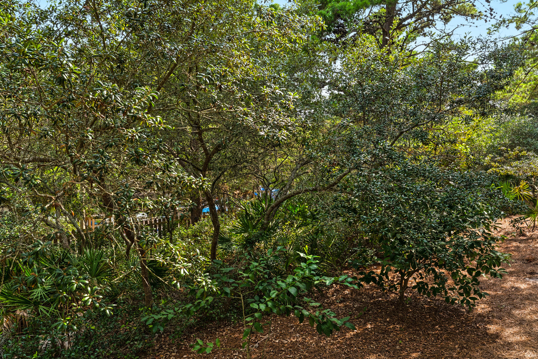 37 Rolling Dunes Drive, C