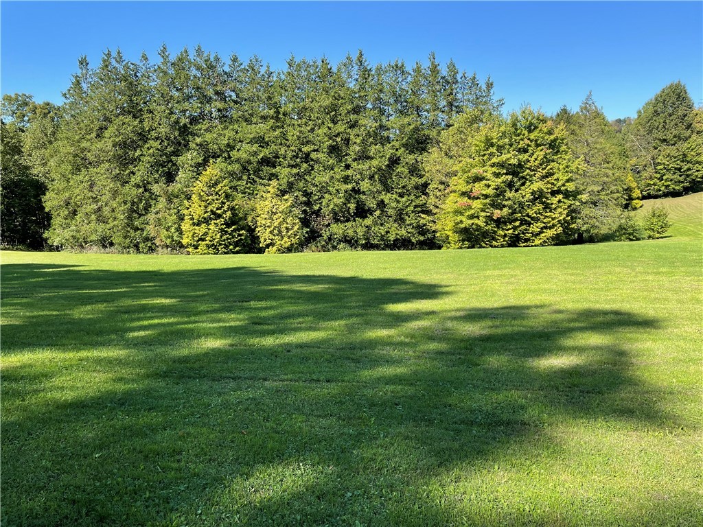 LOT 305 BEECH HILLS RD