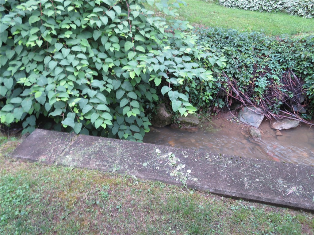 494 & 494 1/2 Evergreen Rd.