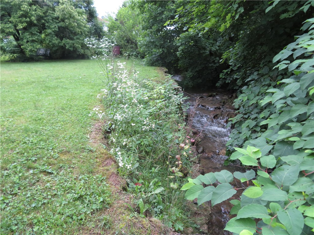 494 & 494 1/2 Evergreen Rd.