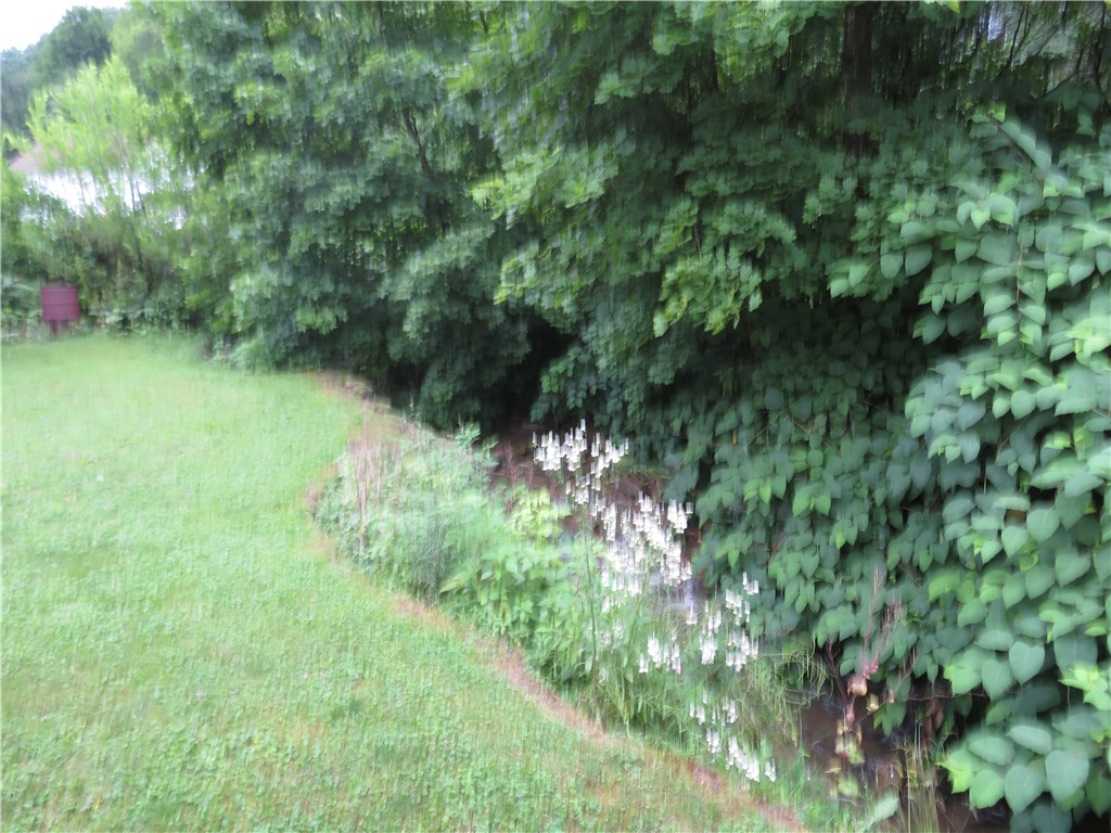 494 & 494 1/2 Evergreen Rd.