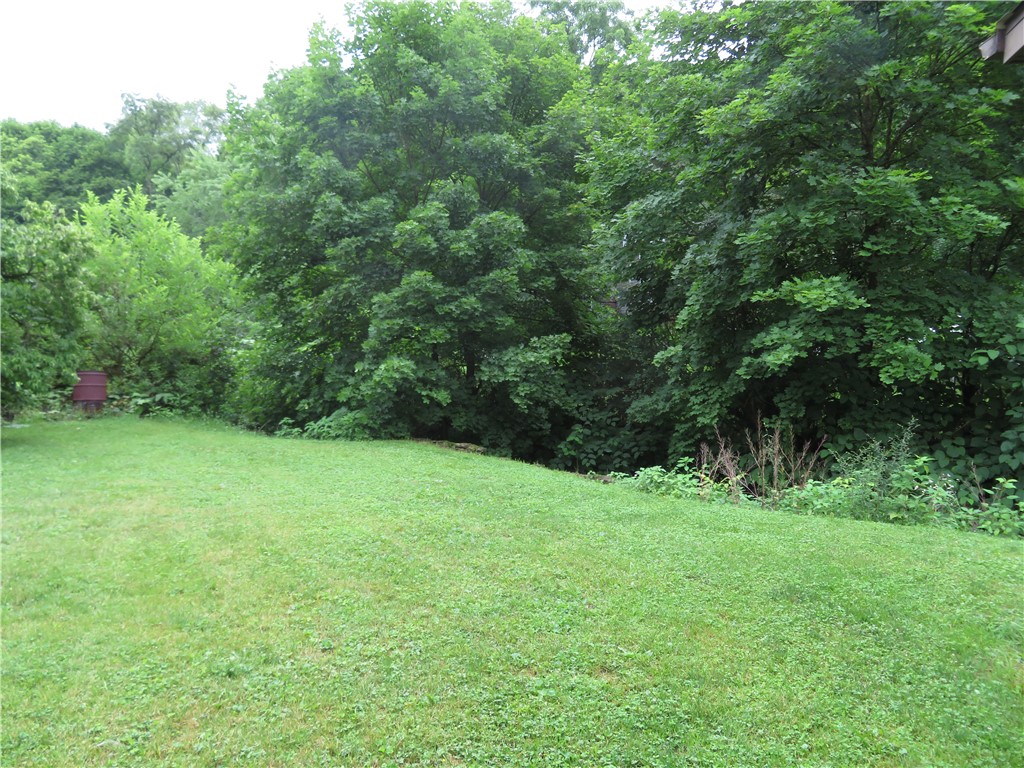 494 & 494 1/2 Evergreen Rd.