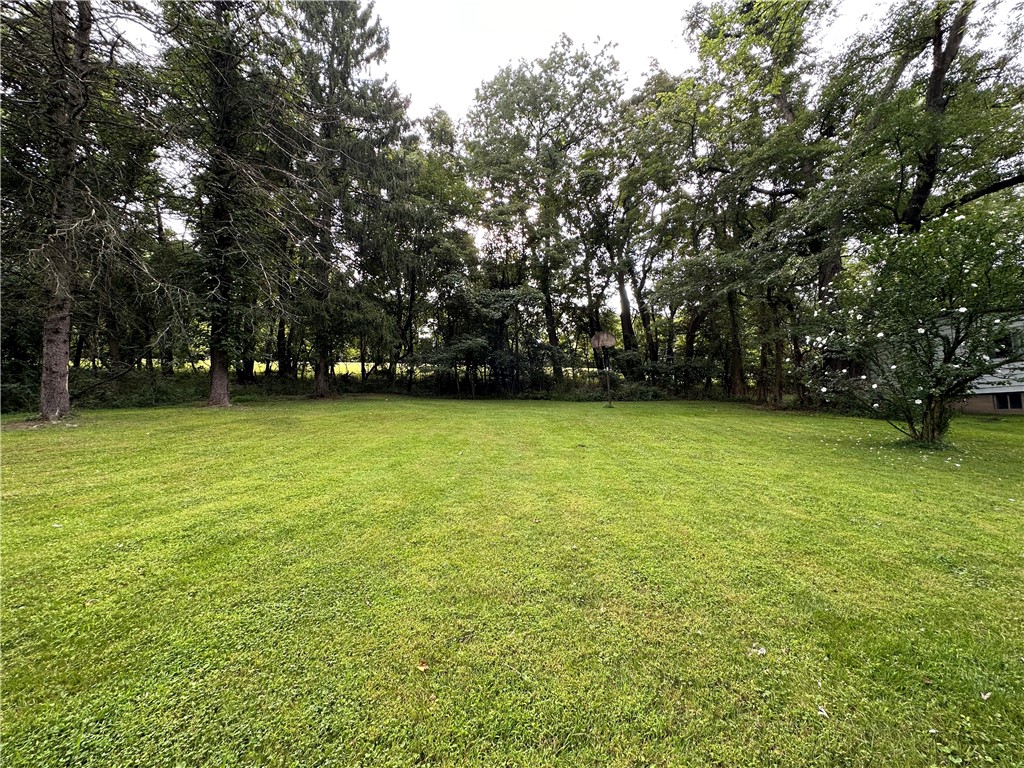 7051 Pleasant Valley Rd