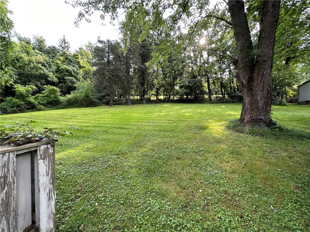 7051 Pleasant Valley Rd