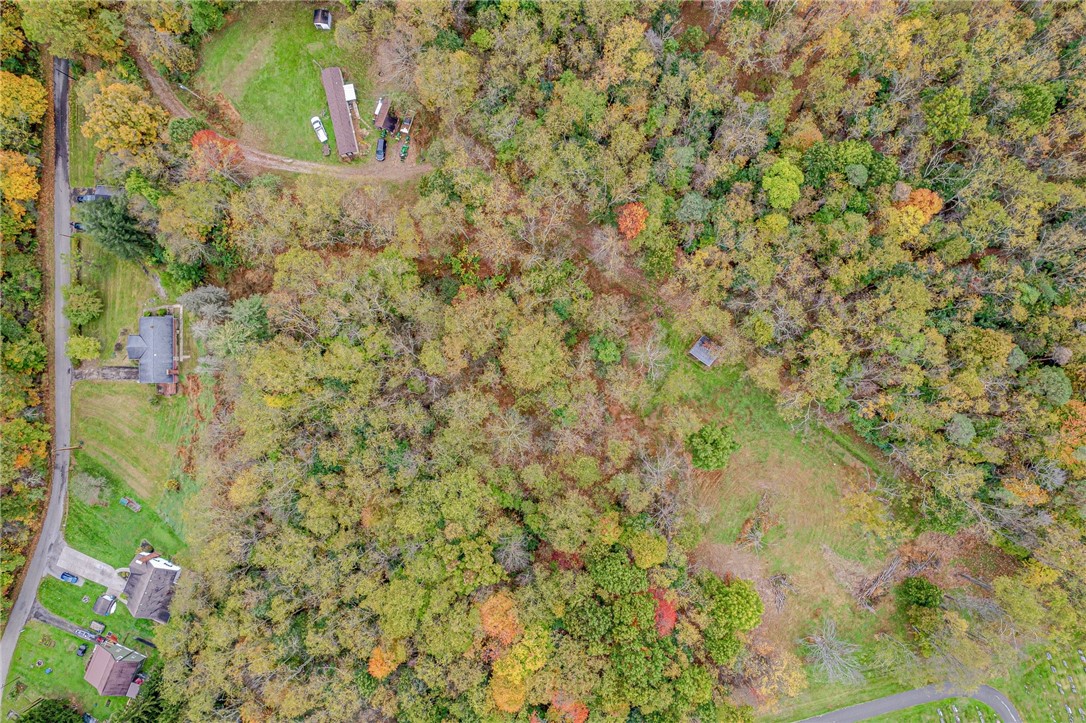 203 Shuster Hollow Rd