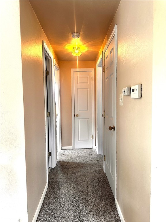 151 Shannon Heights Drive