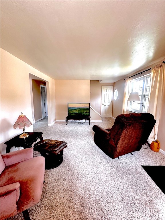 151 Shannon Heights Drive