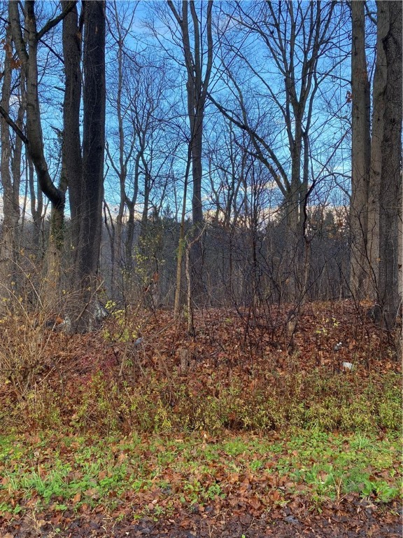 vacant lot Greensburg Rd