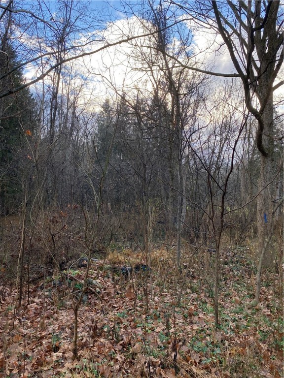 vacant lot Greensburg Rd