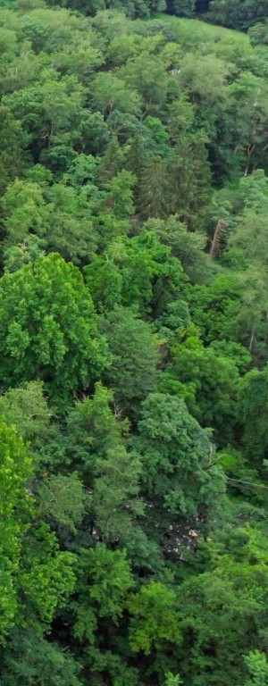 vacant lot Greensburg Rd