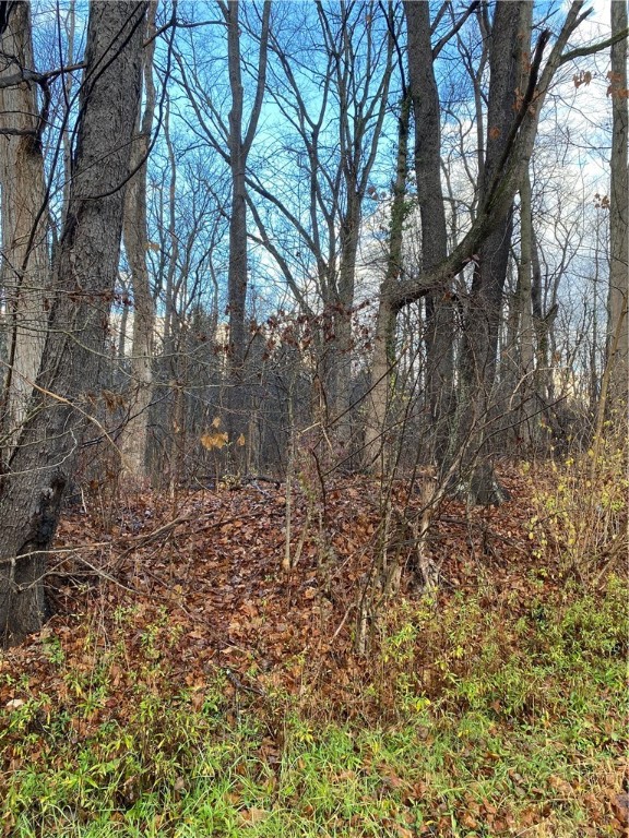 vacant lot Greensburg Rd