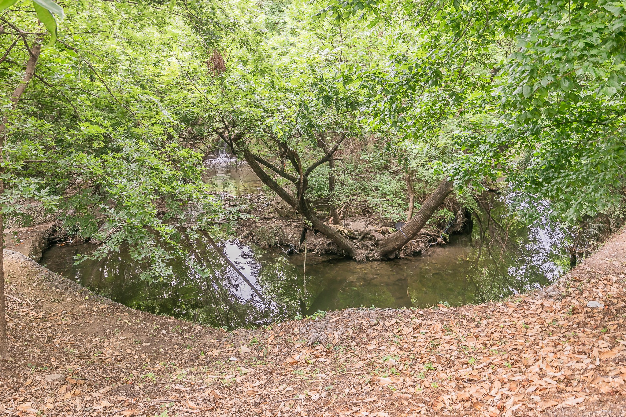 4851 Cedar Springs Road 175