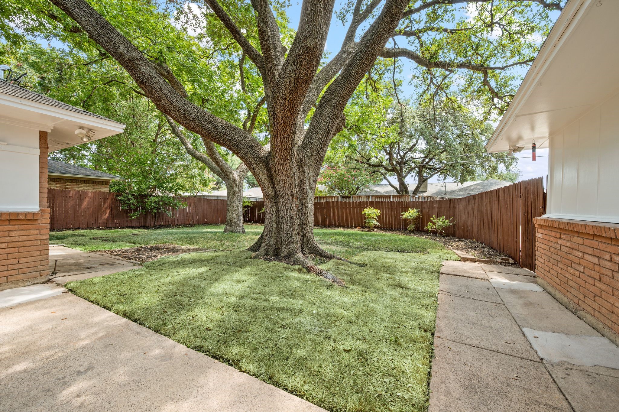 3208 Timberview Road