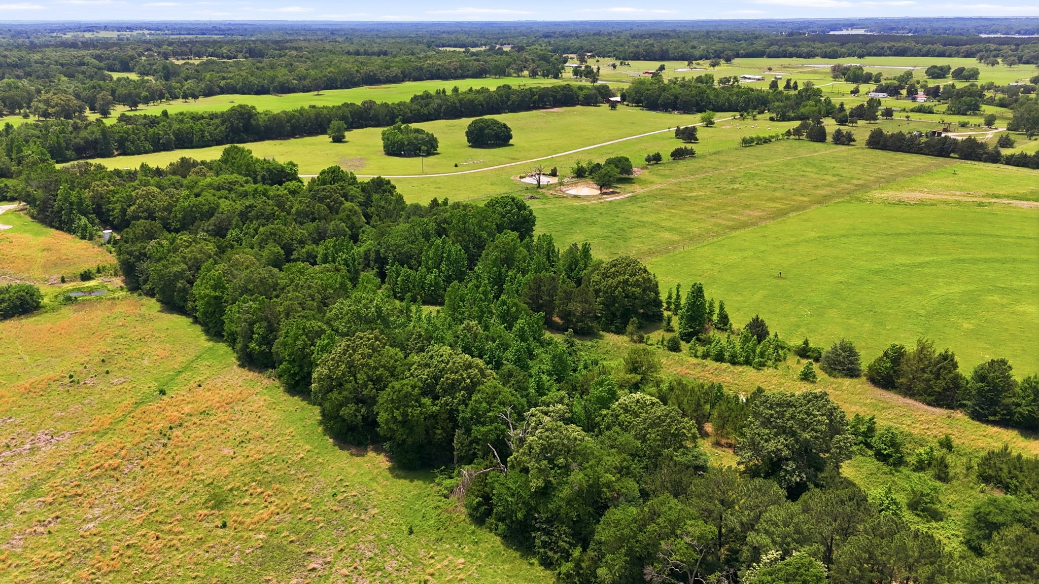 368 County Road 4960