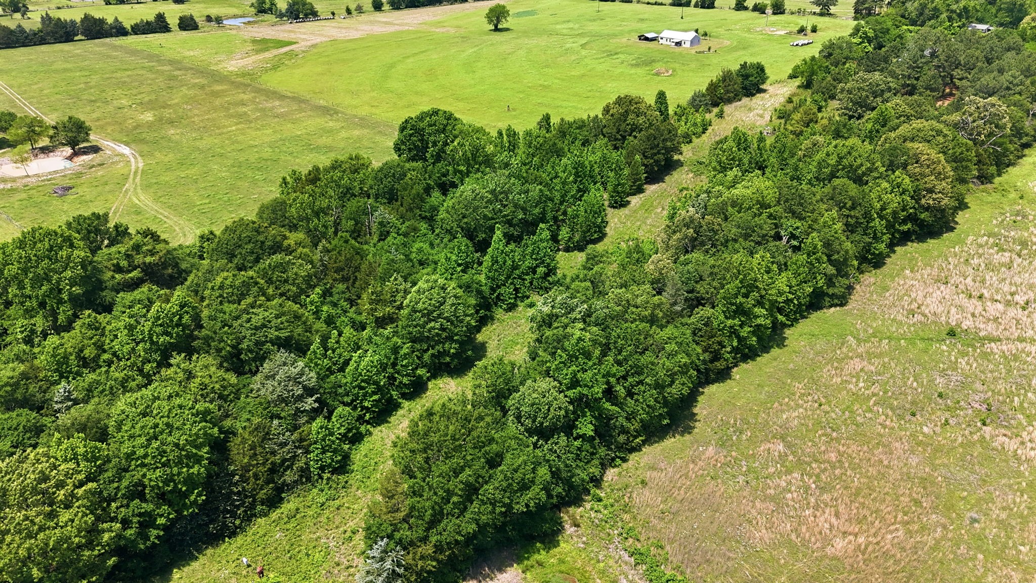 368 County Road 4960