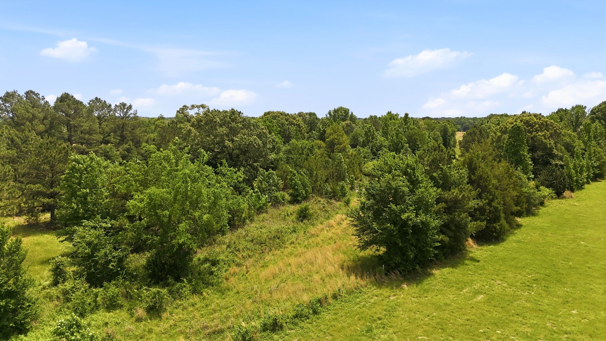 368 County Road 4960