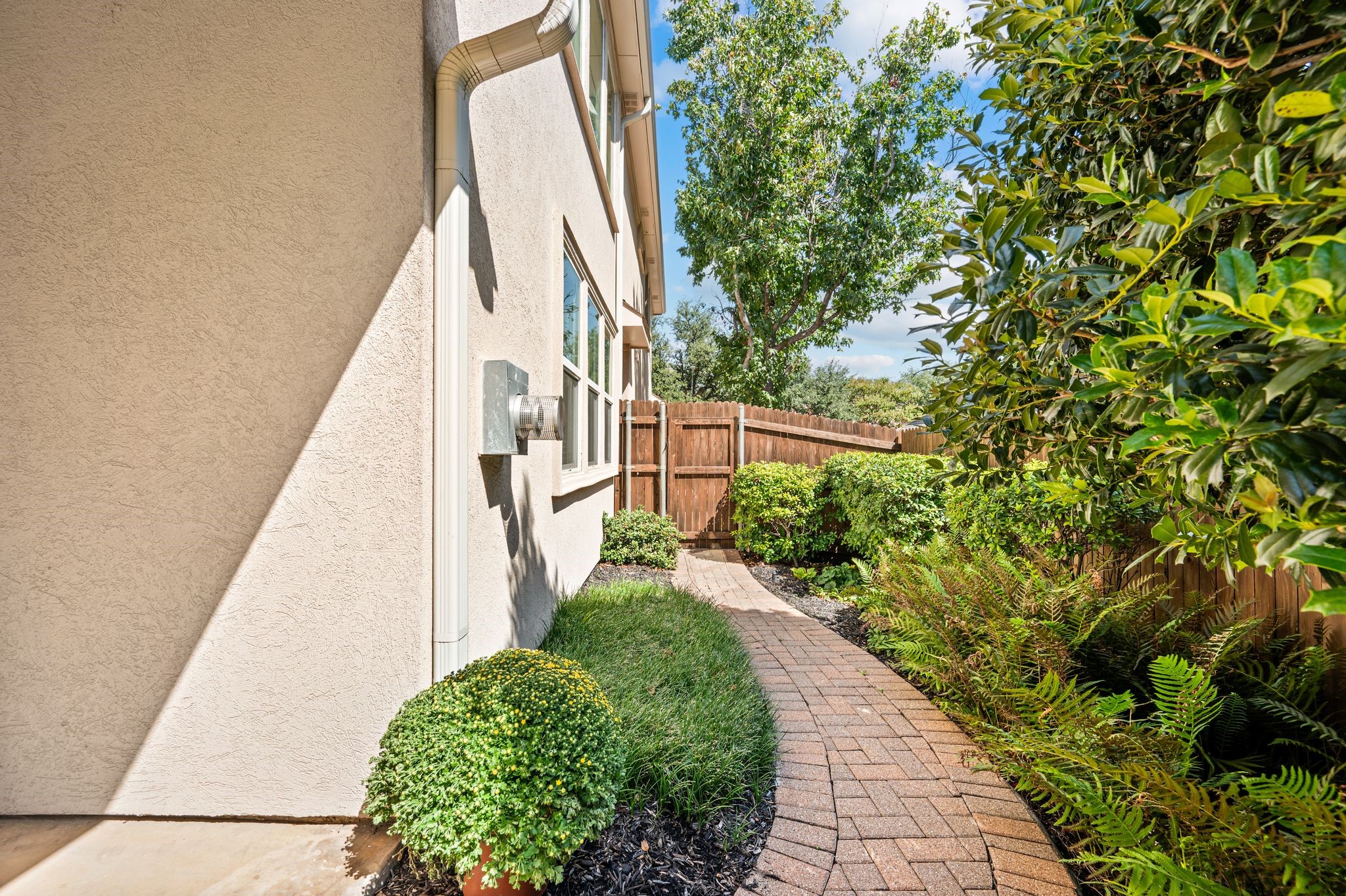 614 Rosemead Drive