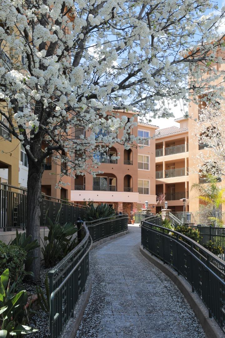 1445 Fruitdale AVE 107